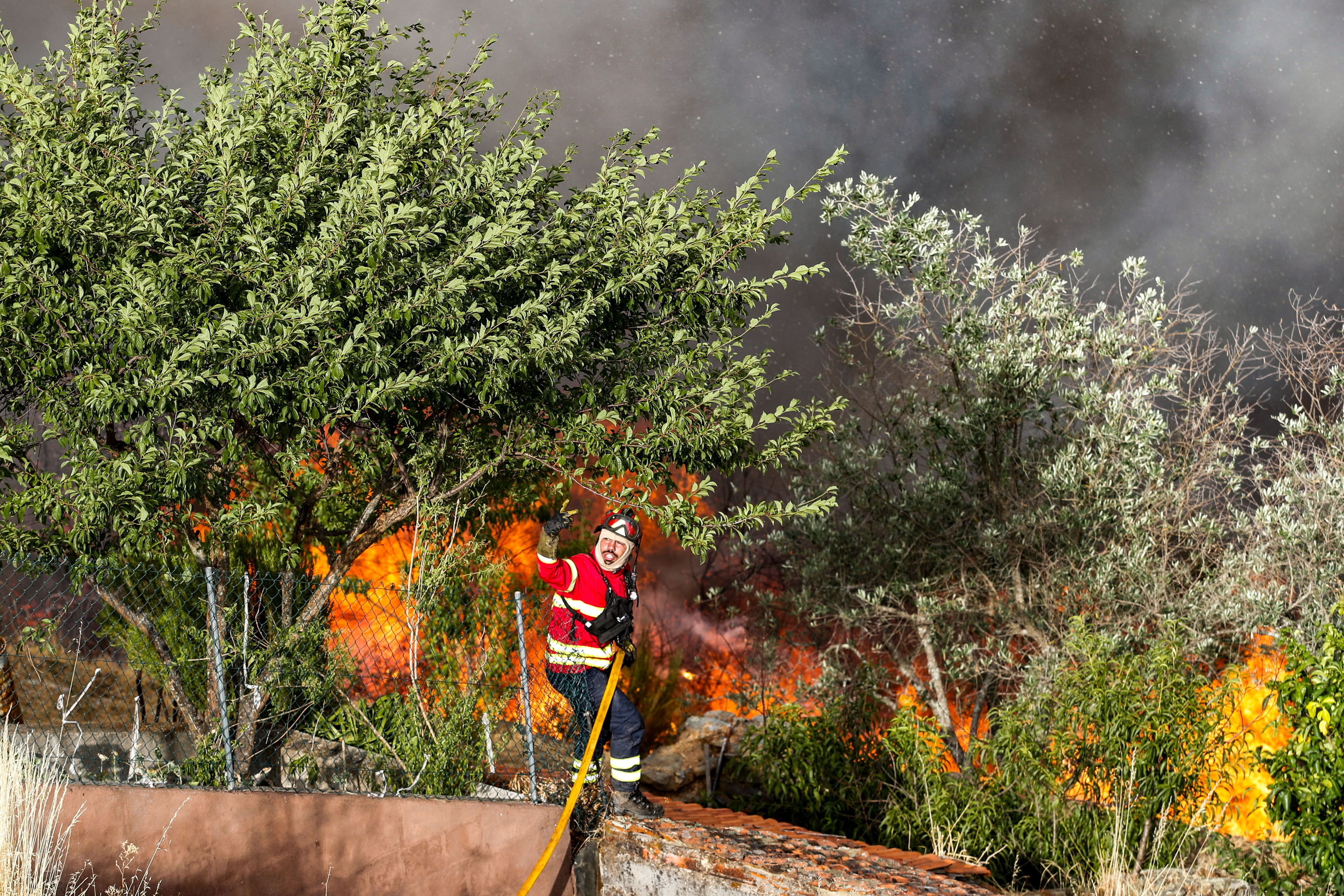 Sunday of maximum fire danger for twenty municipalities in mainland Portugal