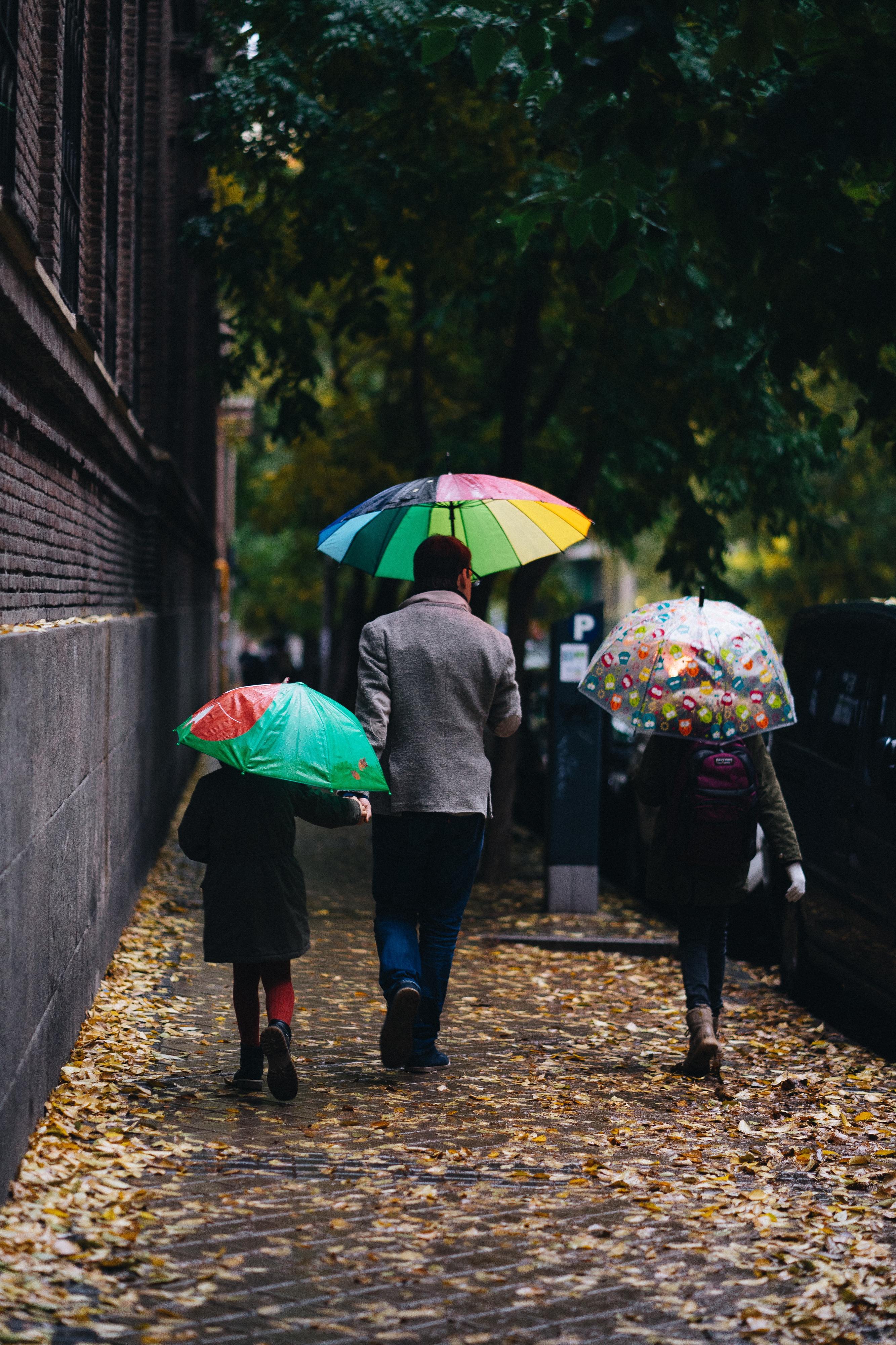 A primavera veio ao engano. Chuva em todo o País e aviso amarelo até quarta-feira