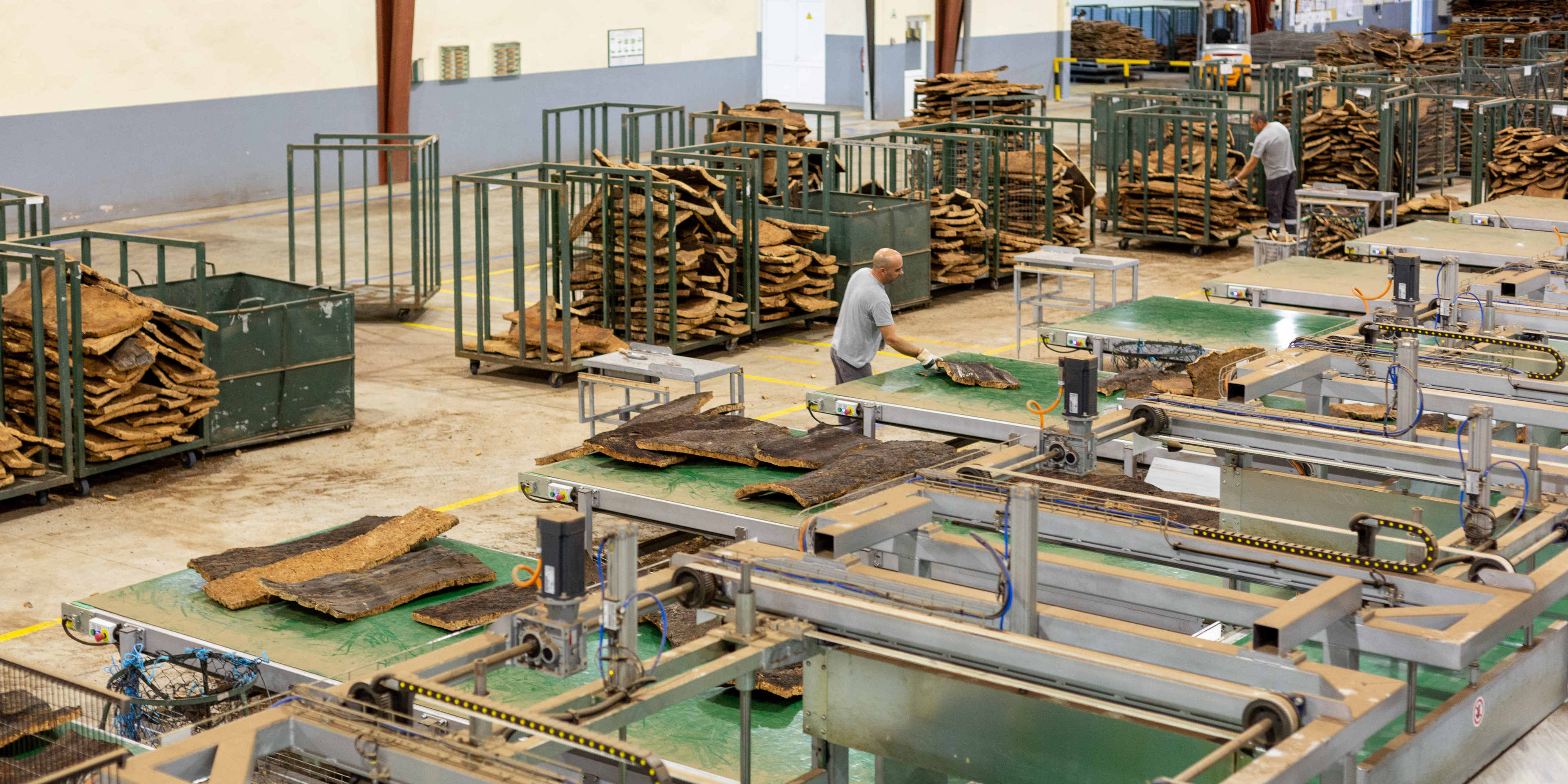 Gisela Serrano está de volta à televisão e vem com a língua afiada. “Vai dar luta”, dizem colegas