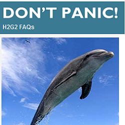 10 road trips pelo mundo: de Marrocos à Nova Zelândia