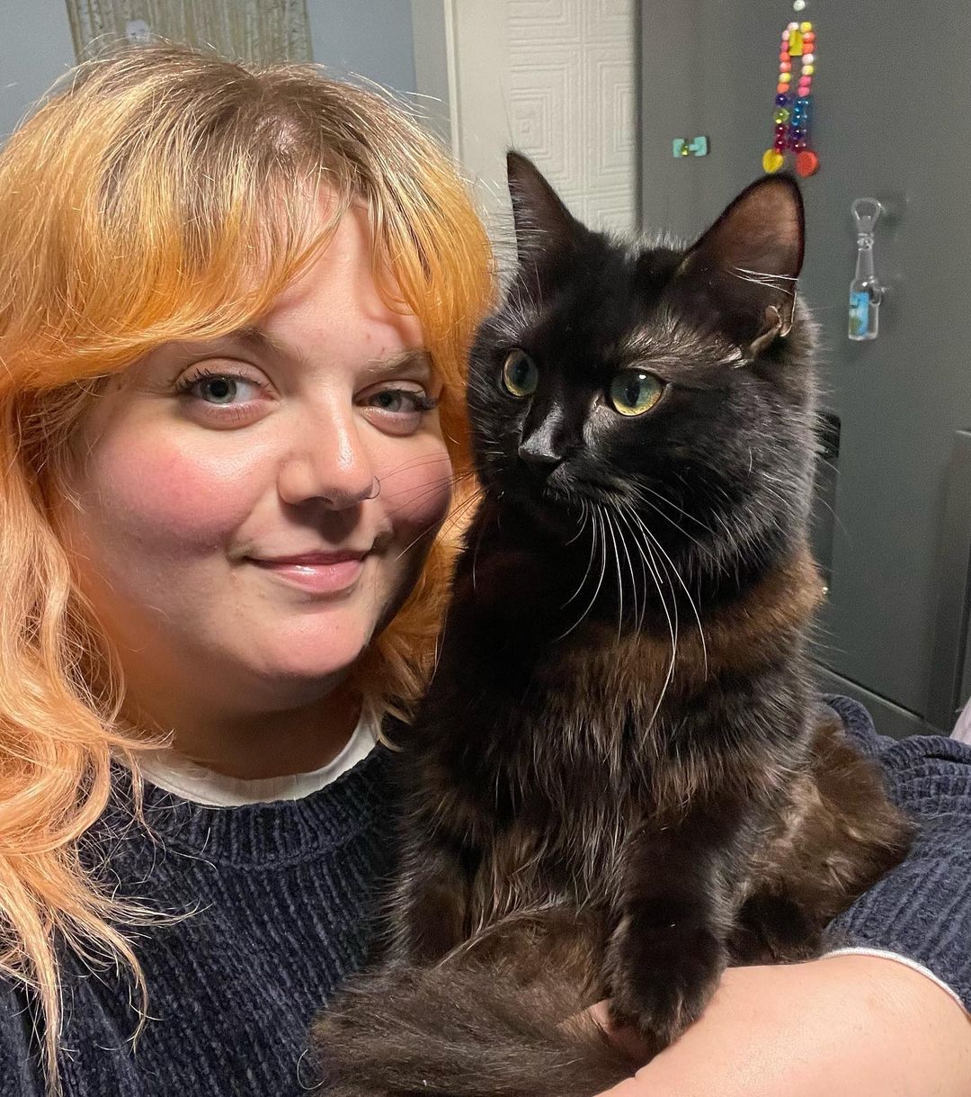 Gastou 8 mil euros no veterinário por causa da gata. Afinal, o animal é só “esquisito”