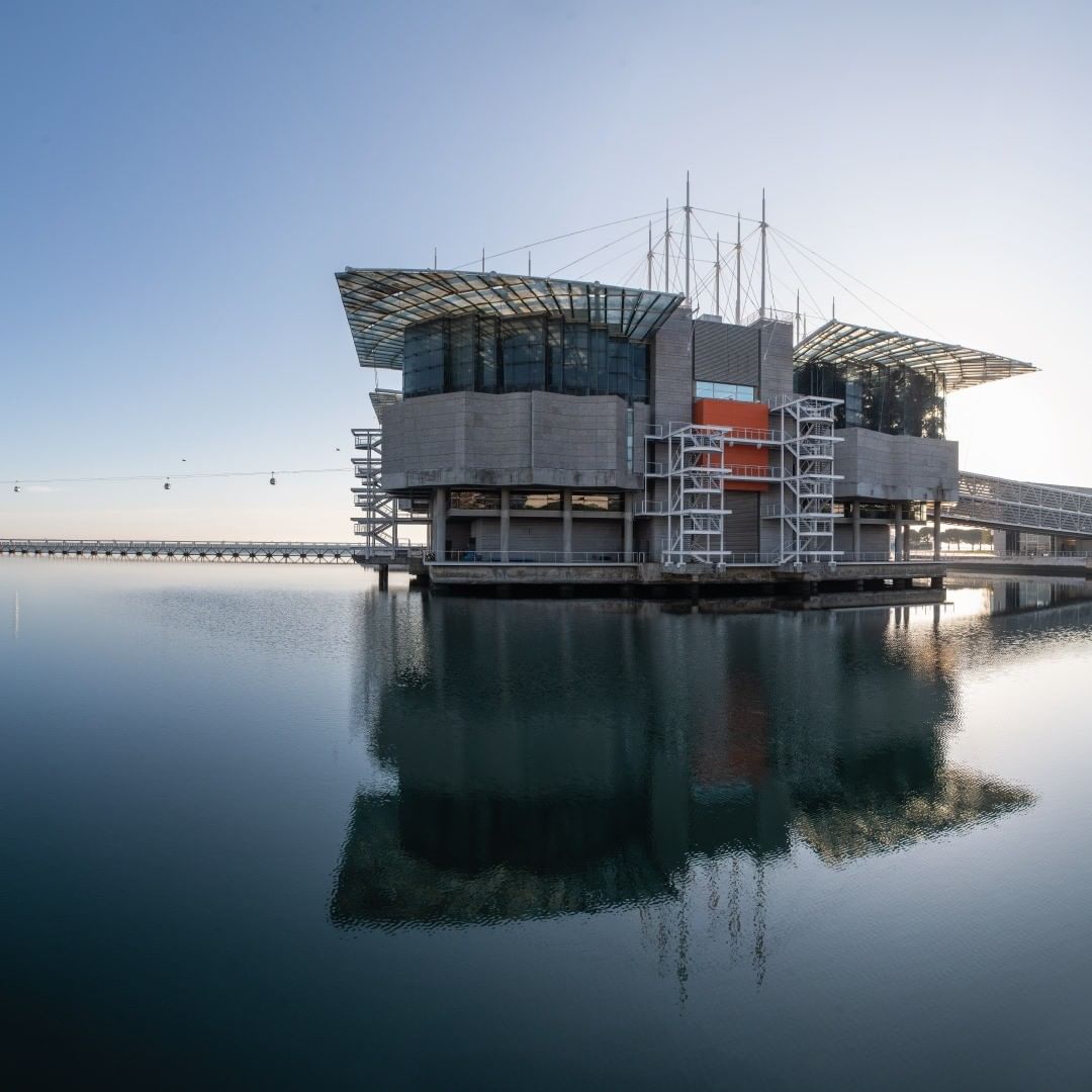 Oceanário celebra mês dos avós com bilhetes a 10 euros