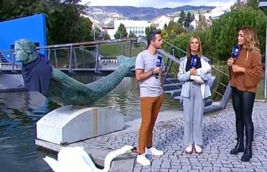 Apresentador da RTP atacado em direto por um cisne. Veja o vídeo hilariante