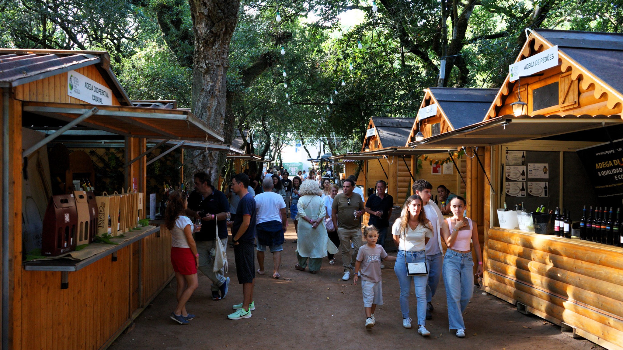 Vinho, concertos e até pratos com pêra rocha. Saiba tudo sobre o festival que é um 2 em 1