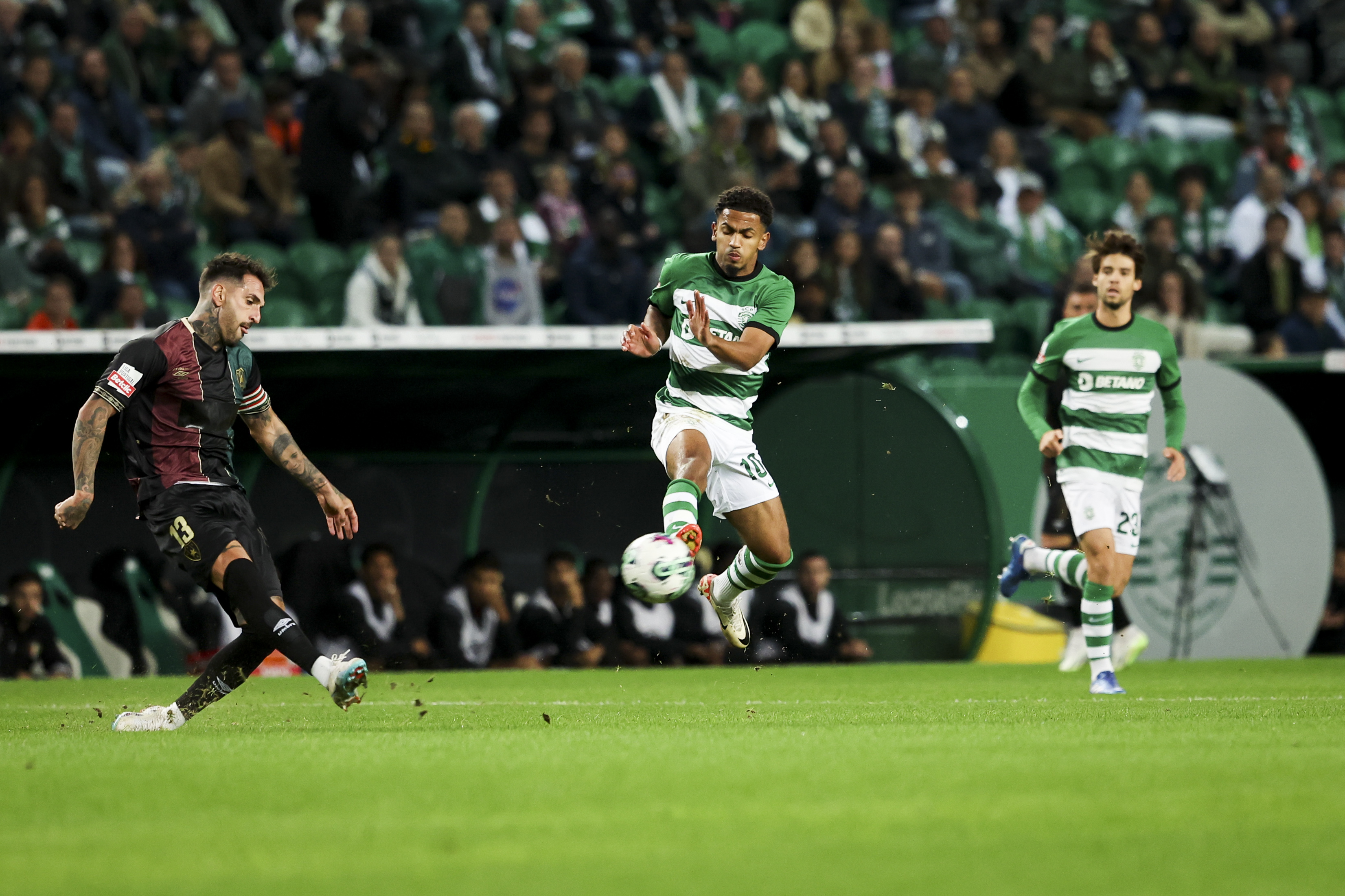 Análise Sporting 3-2 Estrela da Amadora: Leão acordou a tempo mas não fugiu  ao sofrimento - I Liga - SAPO Desporto