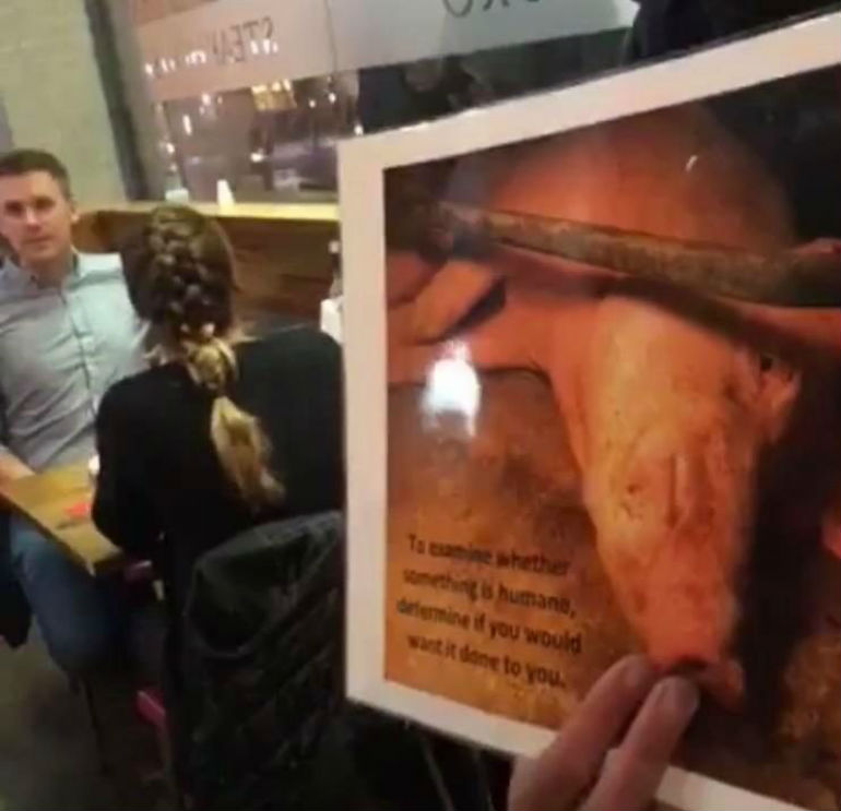 Grupo de ativistas vegan invade restaurante e mostra vídeo de vacas a serem mortas