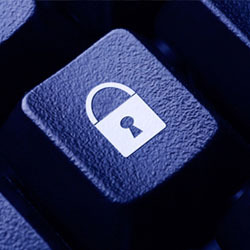 Além da Grande Barreira de Coral, também a floresta tropical de Daintree está a desaparecer