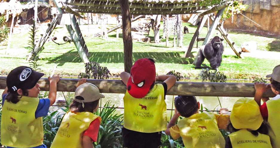 Os miúdos não têm aulas na Páscoa? O Zoo de Lisboa tem o campo de férias ideal