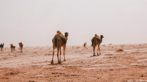 Diário de Viagem # O segundo dia a caminho do deserto