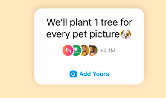 Partilhou uma foto do seu animal no Instagram? Não espere que lhe plantem uma árvore