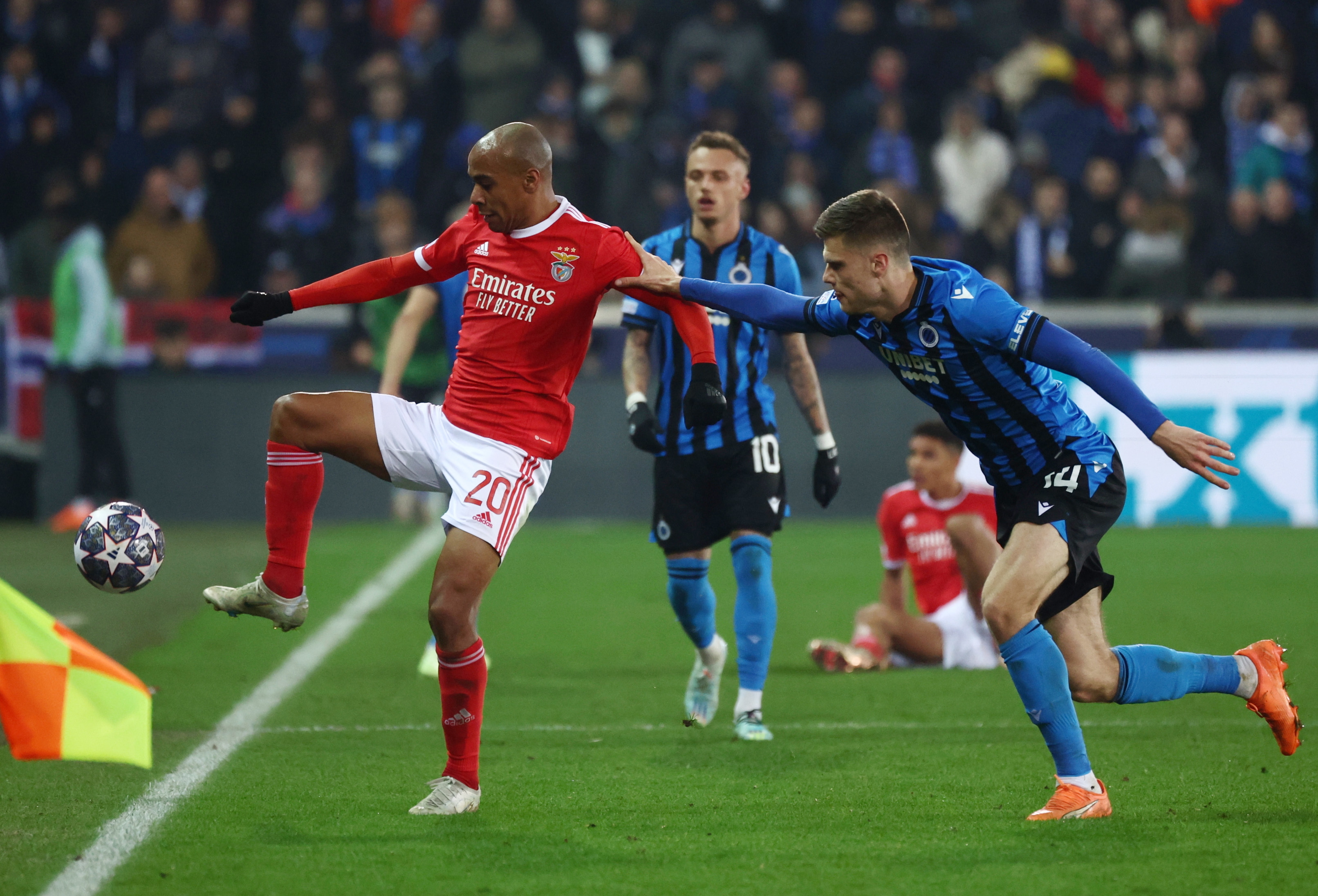 Benfica x Club Brugge: assista ao vivo à partida da Champions League (Liga  dos Campeões)