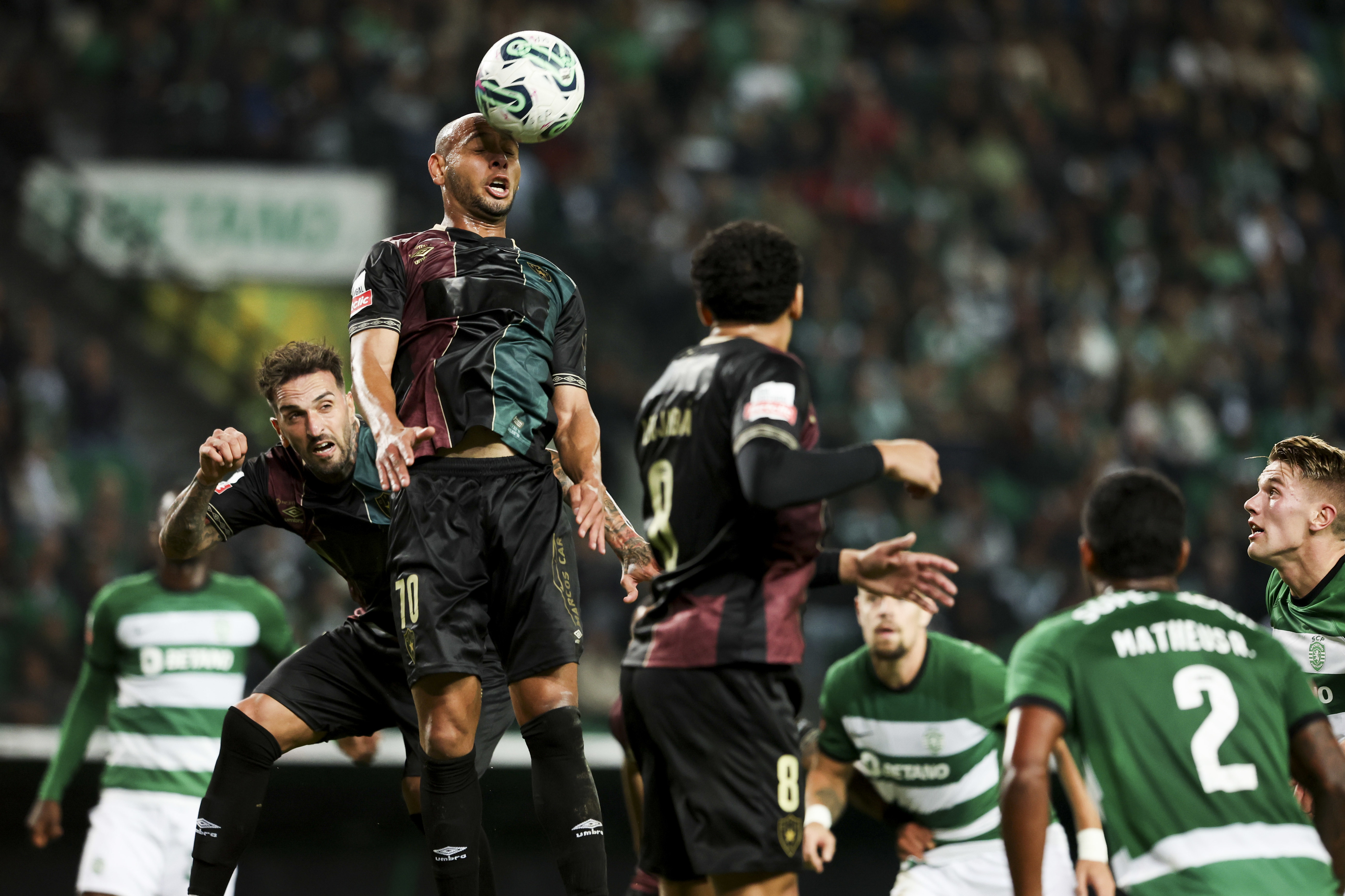 Análise Sporting 3-2 Estrela da Amadora: Leão acordou a tempo mas não fugiu  ao sofrimento - I Liga - SAPO Desporto