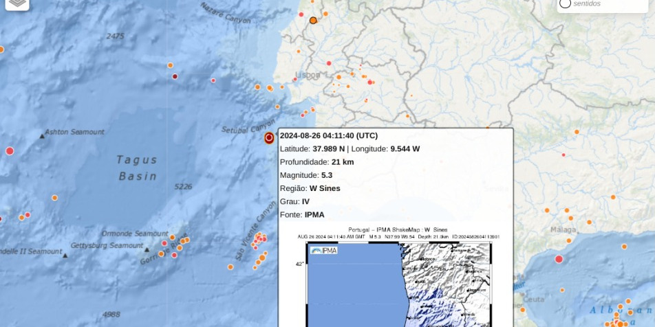 Website do IPMA “foi abaixo” devido ao aumento de procura de informação do sismo em Sines