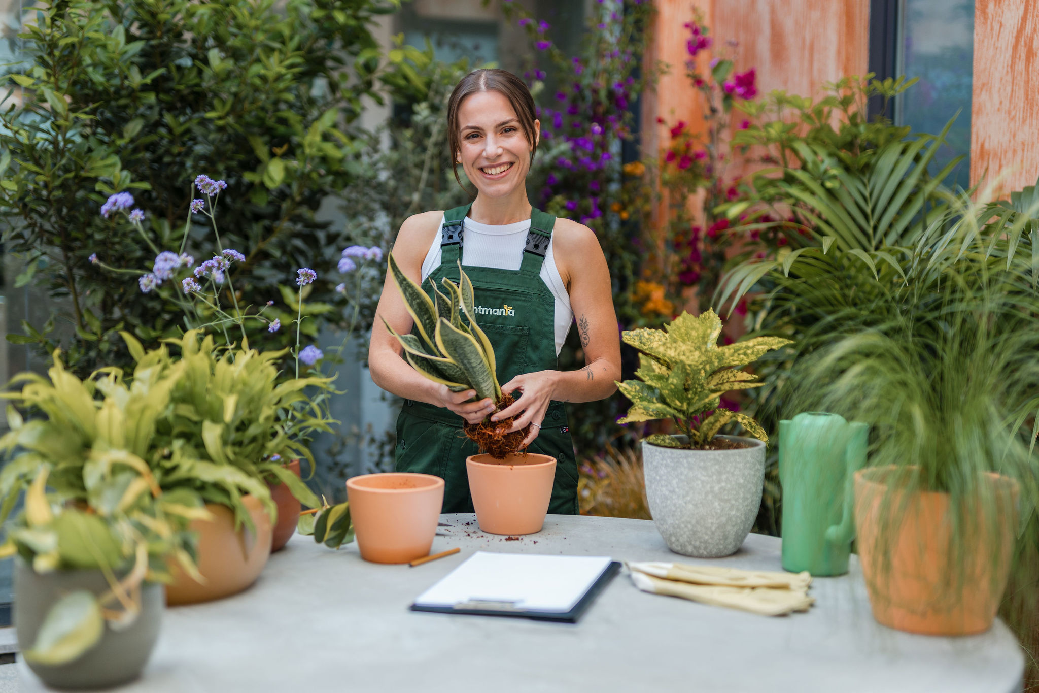 Tripeirinha estreia-se em programa de televisão. “É a realização de um sonho”