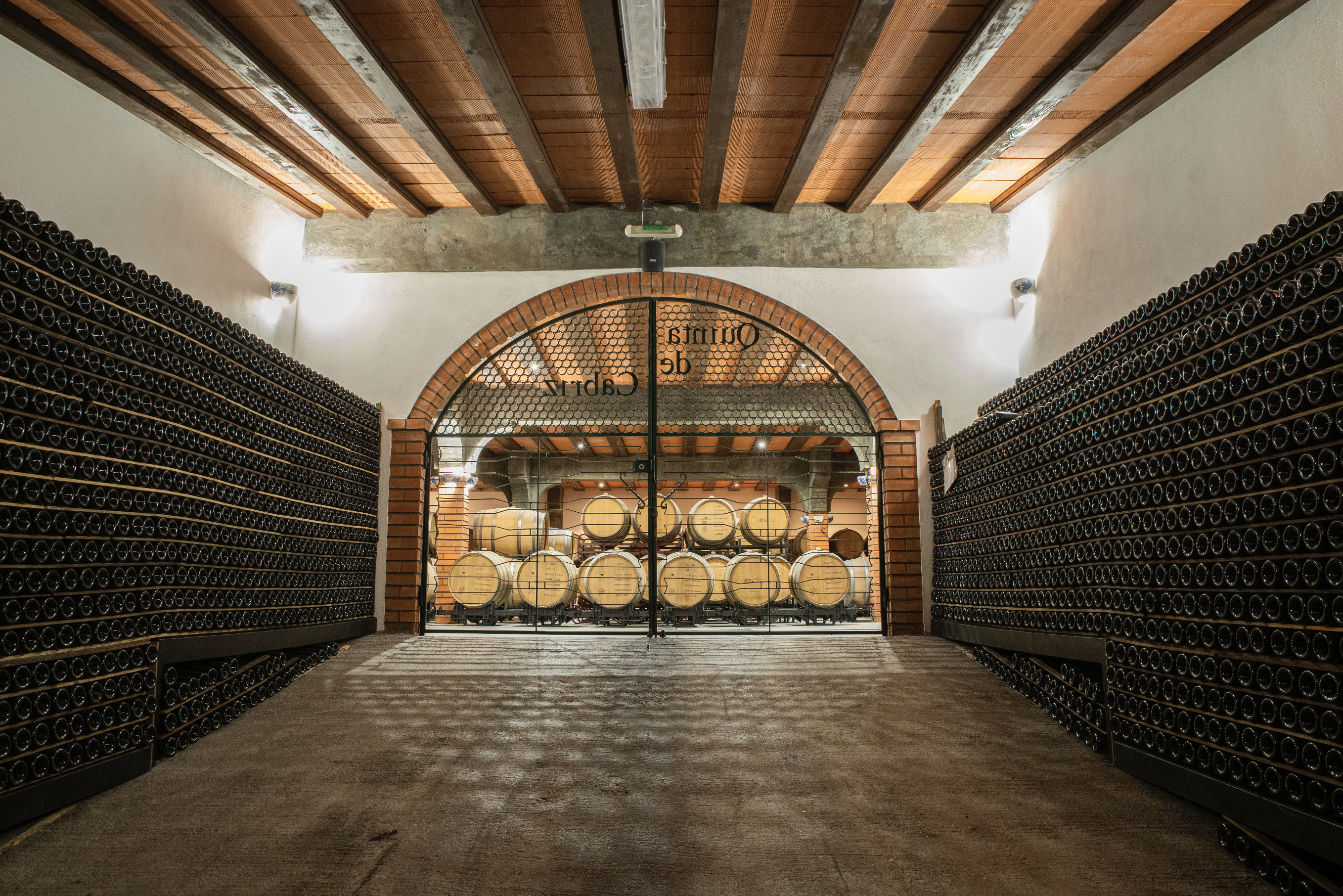 Dão, trutas e viriatos. Sabe o que têm em comum? Descubra nesta viagem pelo centro do País