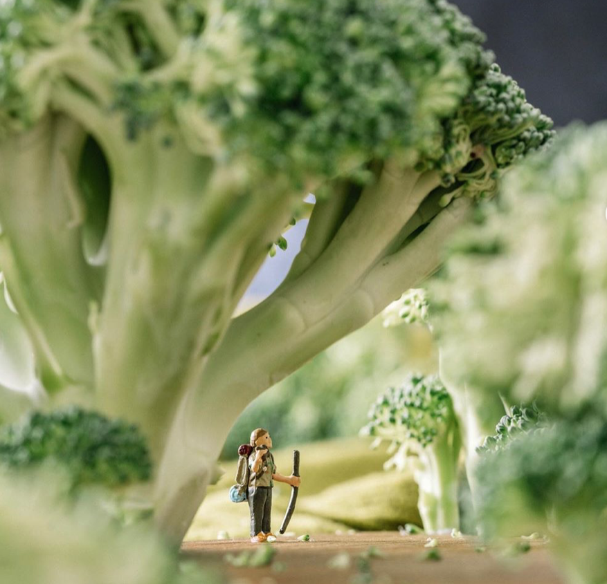 Fotógrafa contrói pequenos mundos com o que tem em casa — e o resultado é incrível