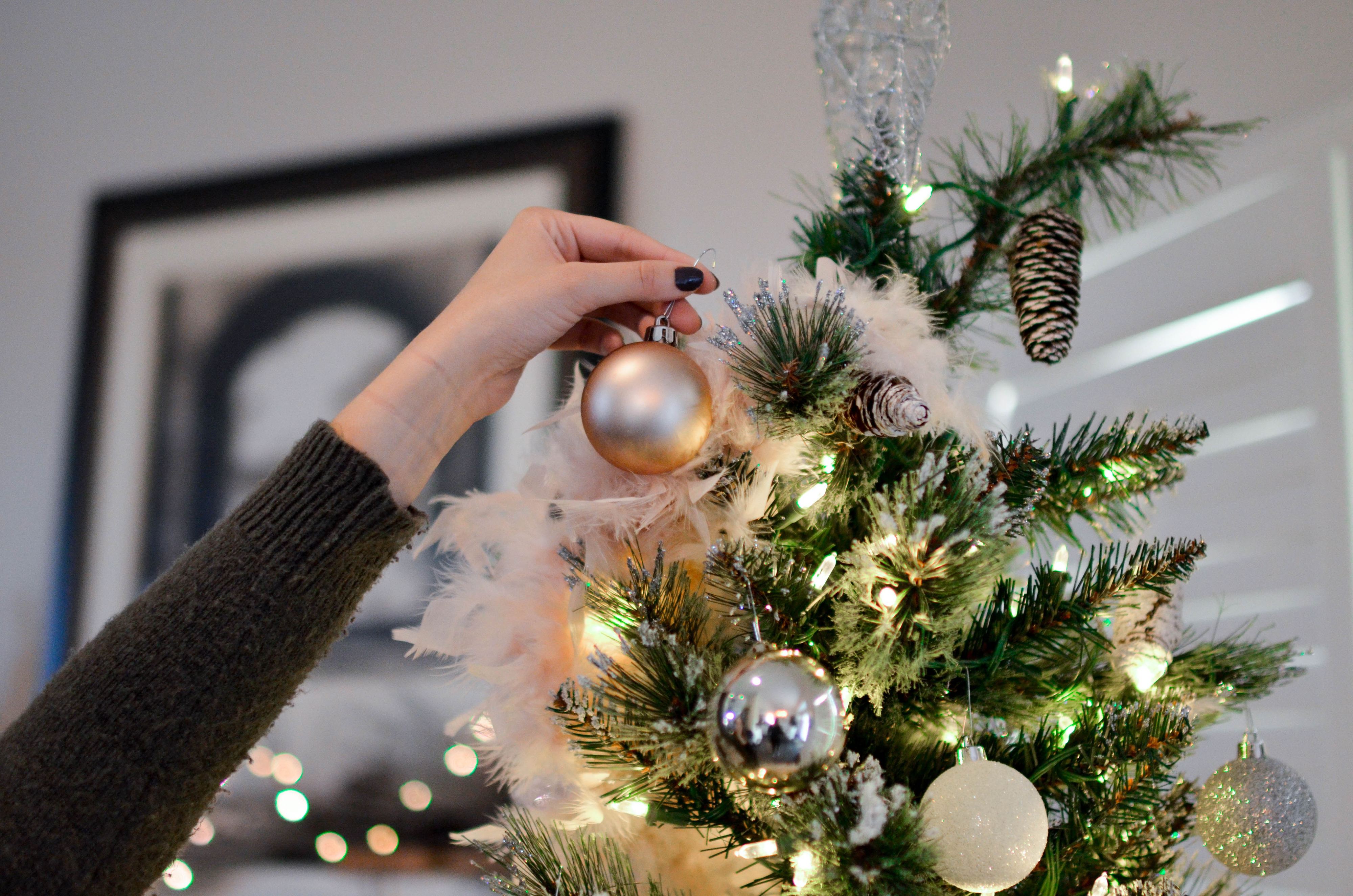 Pinheiro de Natal artificial vs natural. Sabe mesmo o que é melhor para o ambiente?