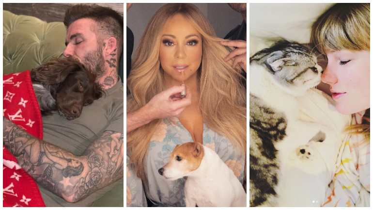De Rita Pereira a Meghan Markle, conheça os animais de estimação de 12 celebridades
