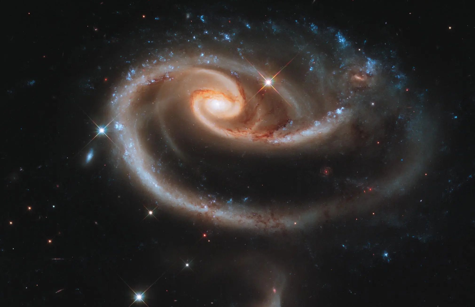 Suplementos Alimentares: A ajuda certa para cada momento