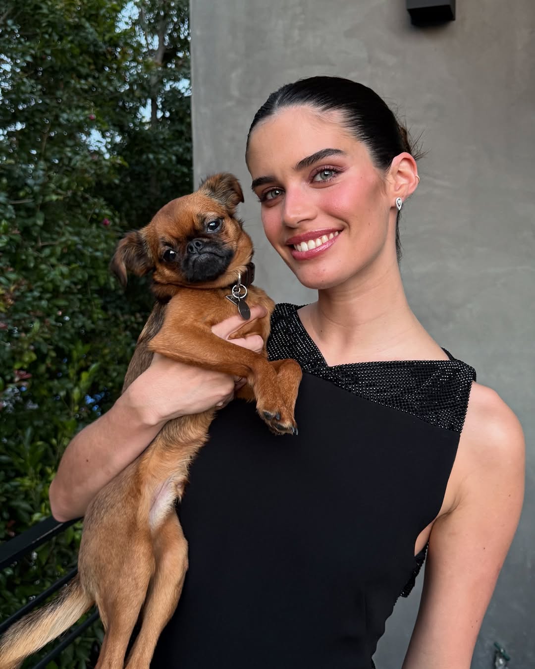 Cão de Sara Sampaio desapareceu. “Ainda não perdi a esperança”, que oferece uma recompensa