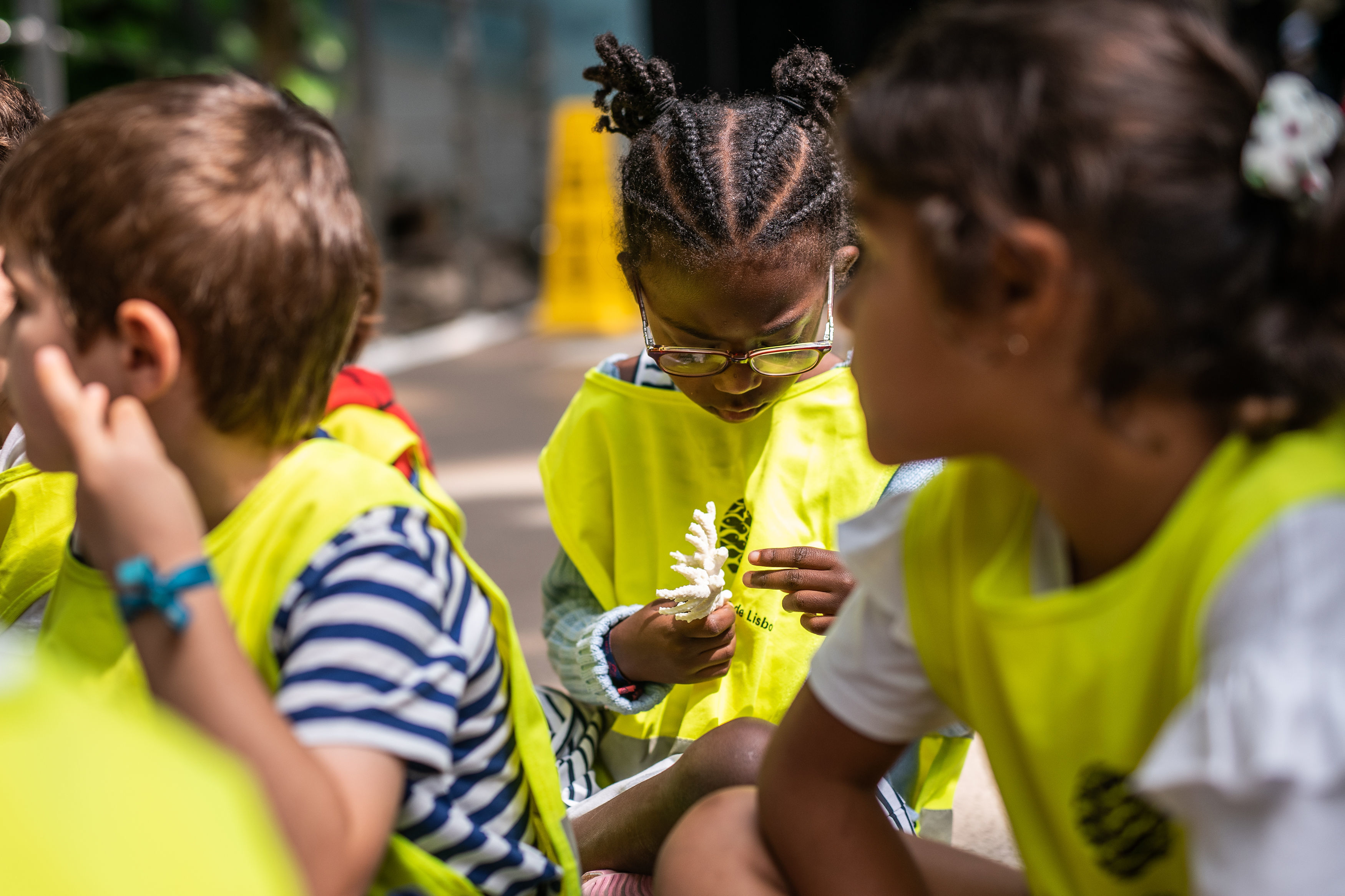 Não sabe onde deixar as crianças na Páscoa? Oceanário de Lisboa tem o campo de férias ideal