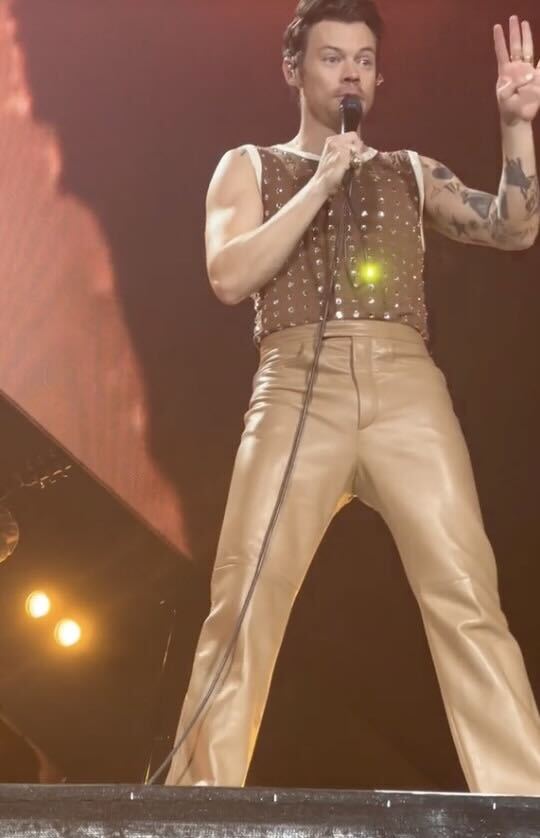 Harry Styles parou concerto para fã grávida ir à casa de banho. E ajudou a escolher o nome do bebé. Veja o vídeo