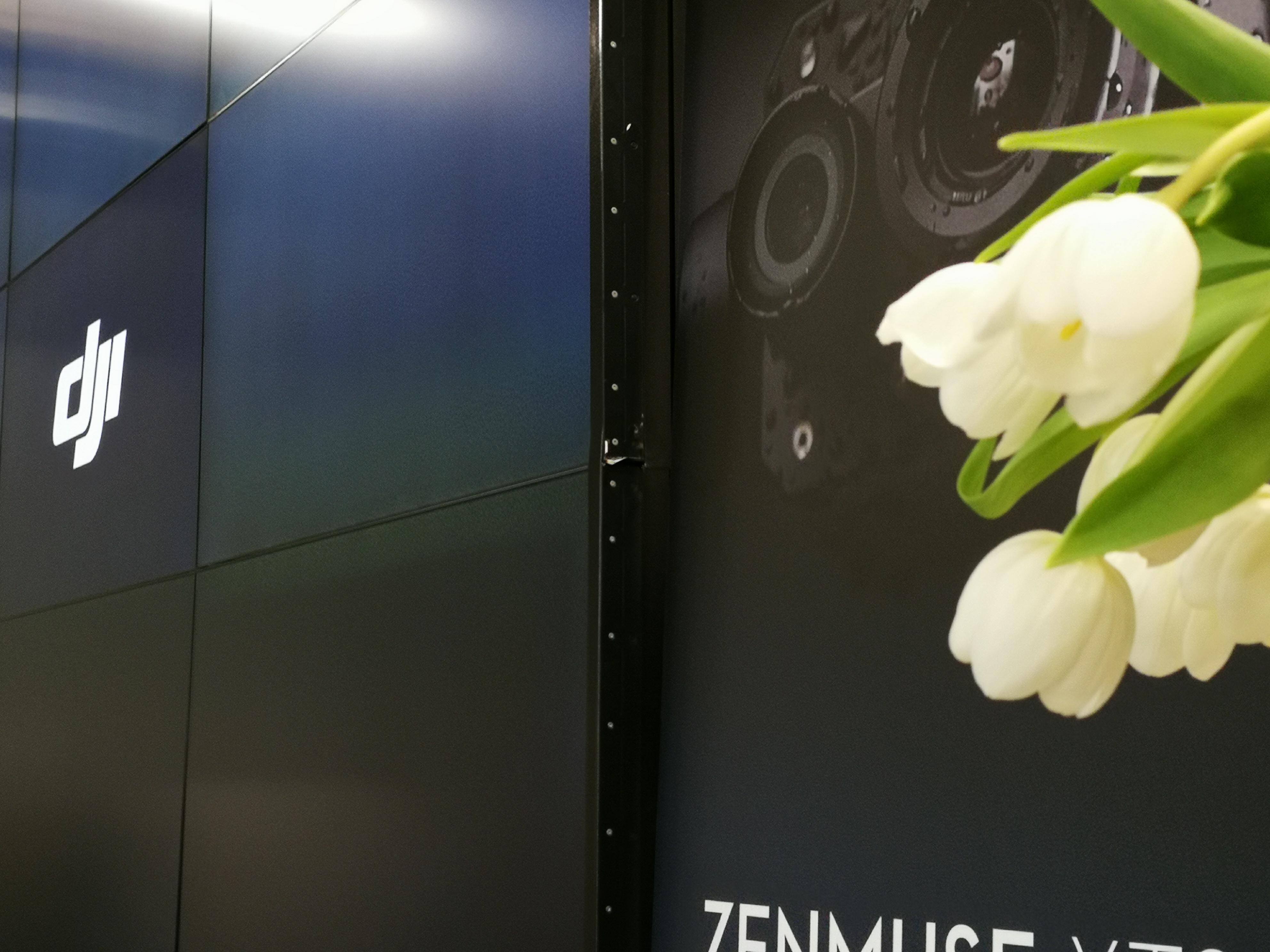 Um restaurante para comer em casa. As pizzas vencedoras do Di Nando, em Ponte da Barca