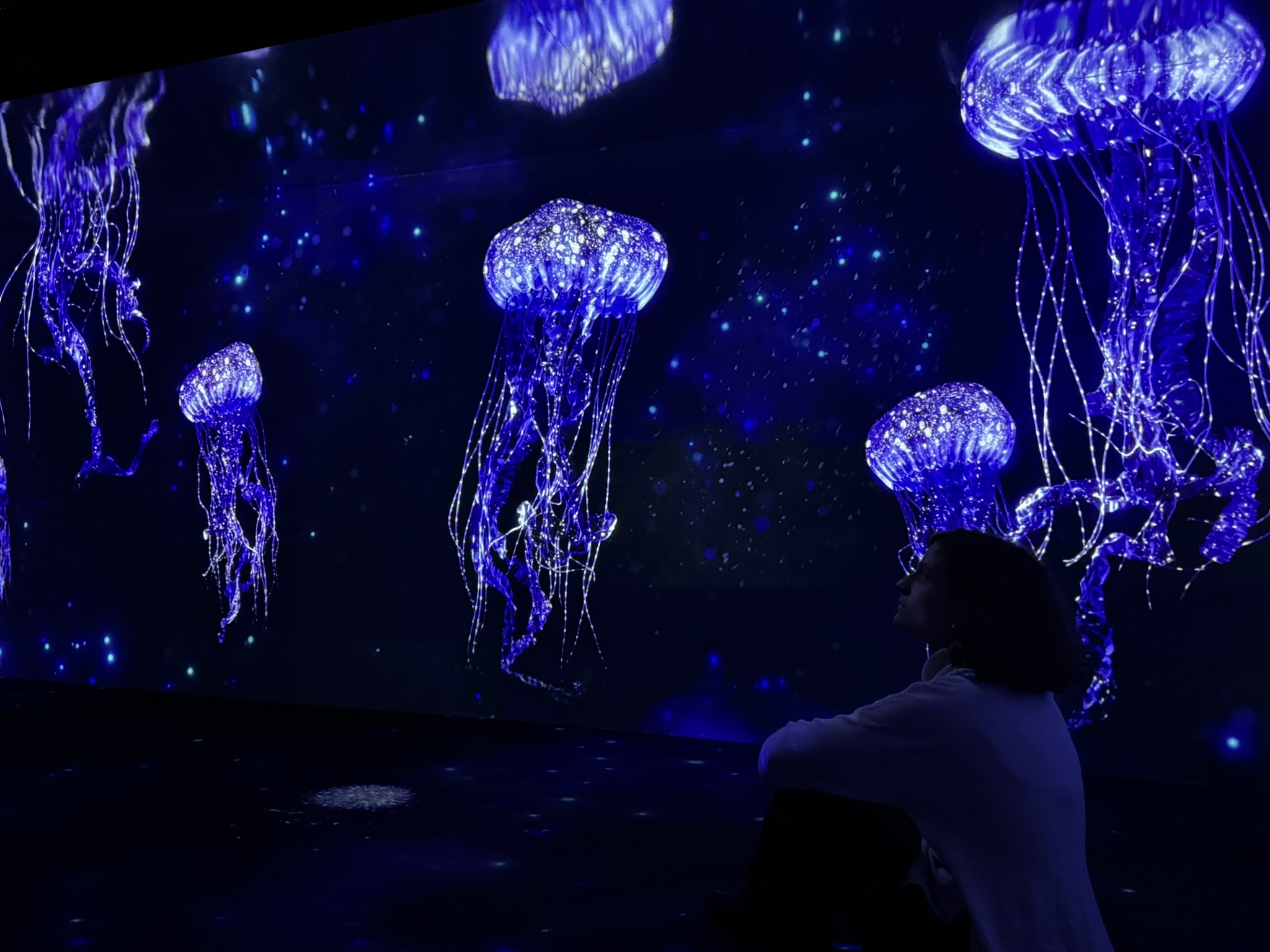 Os bilhetes a 13€ voltaram ao Oceanário de Lisboa. Saiba até quando pode agarrar a promoção