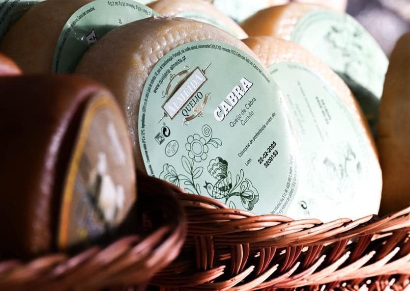 Estes são os melhores queijos portugueses. Espreite alguns dos vencedores dos “Óscares” desta iguaria