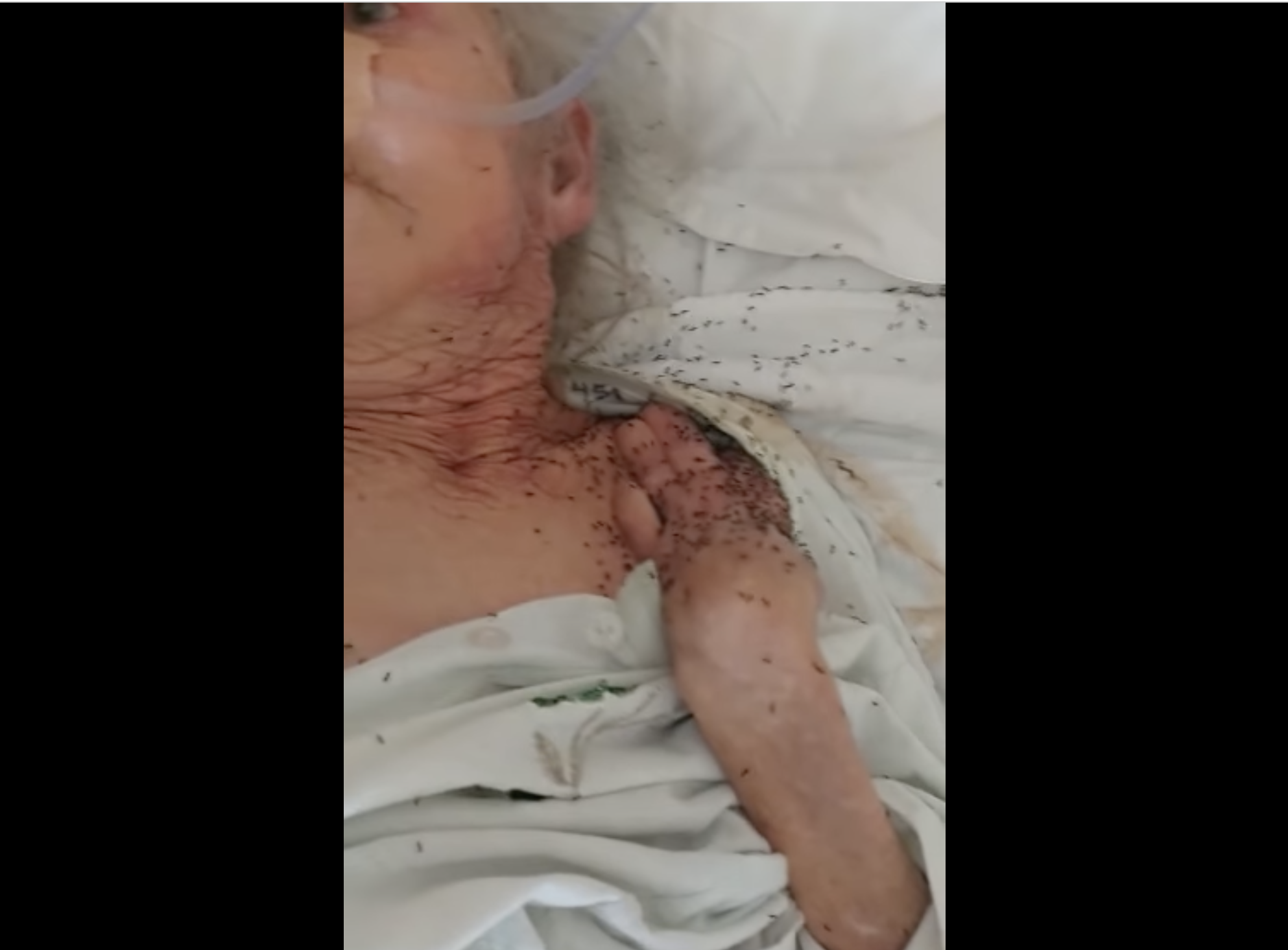 Antigo funcionário acusa lar de Boliqueime. “Presenciei várias situações de negligência, abandono e agressões”