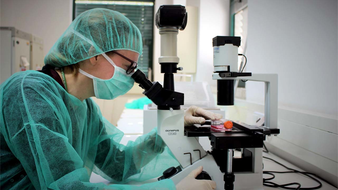 Novo vírus encontrado na China, onde começou a Covid-19, pode começar uma nova pandemia. Perceba