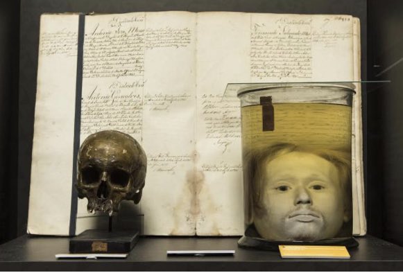 O famoso assassino do Aqueduto das Águas Livres é o protagonista deste novo romance. Saiba tudo