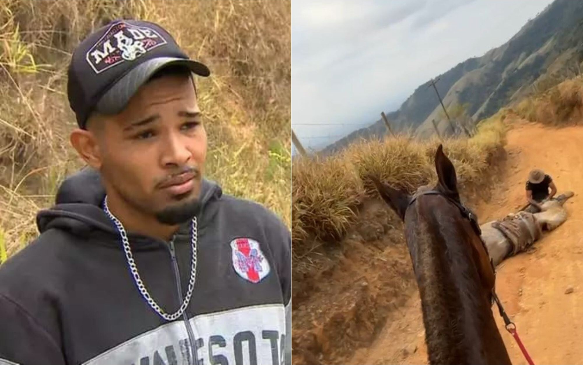 Dono de cavalo cortou-lhe as pernas. Agora, está a receber ameaças de morte e pede perdão