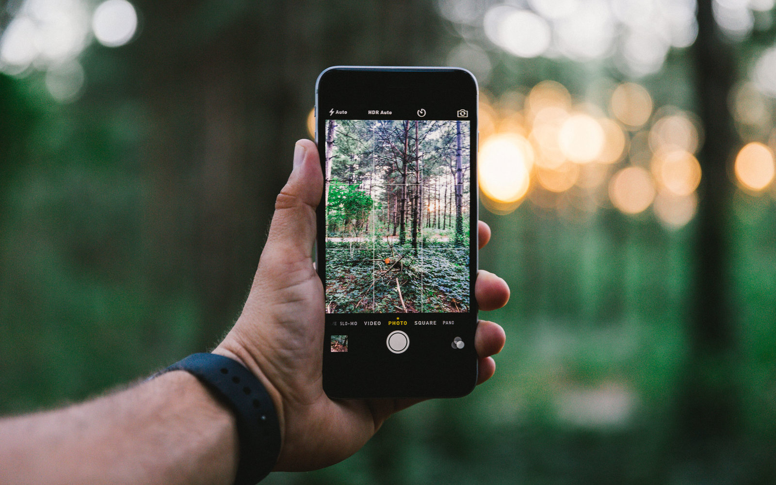 Seek. Esta espécide Shazam ajuda a identificar plantas e animais