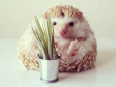 15 vezes em que as coisas correram mal durante a rodagem de um filme