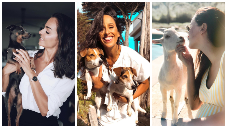 No dia do animal, conheça os melhores amigos dos famosos