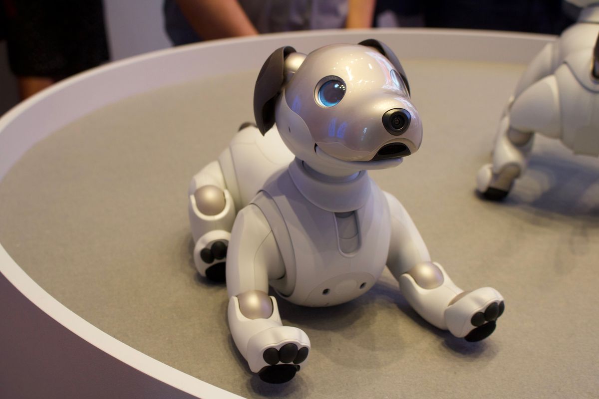 Ainda se lembra do Aibo da Sony? Há um programa que dá nova vida aos cães-robot “velhinhos”