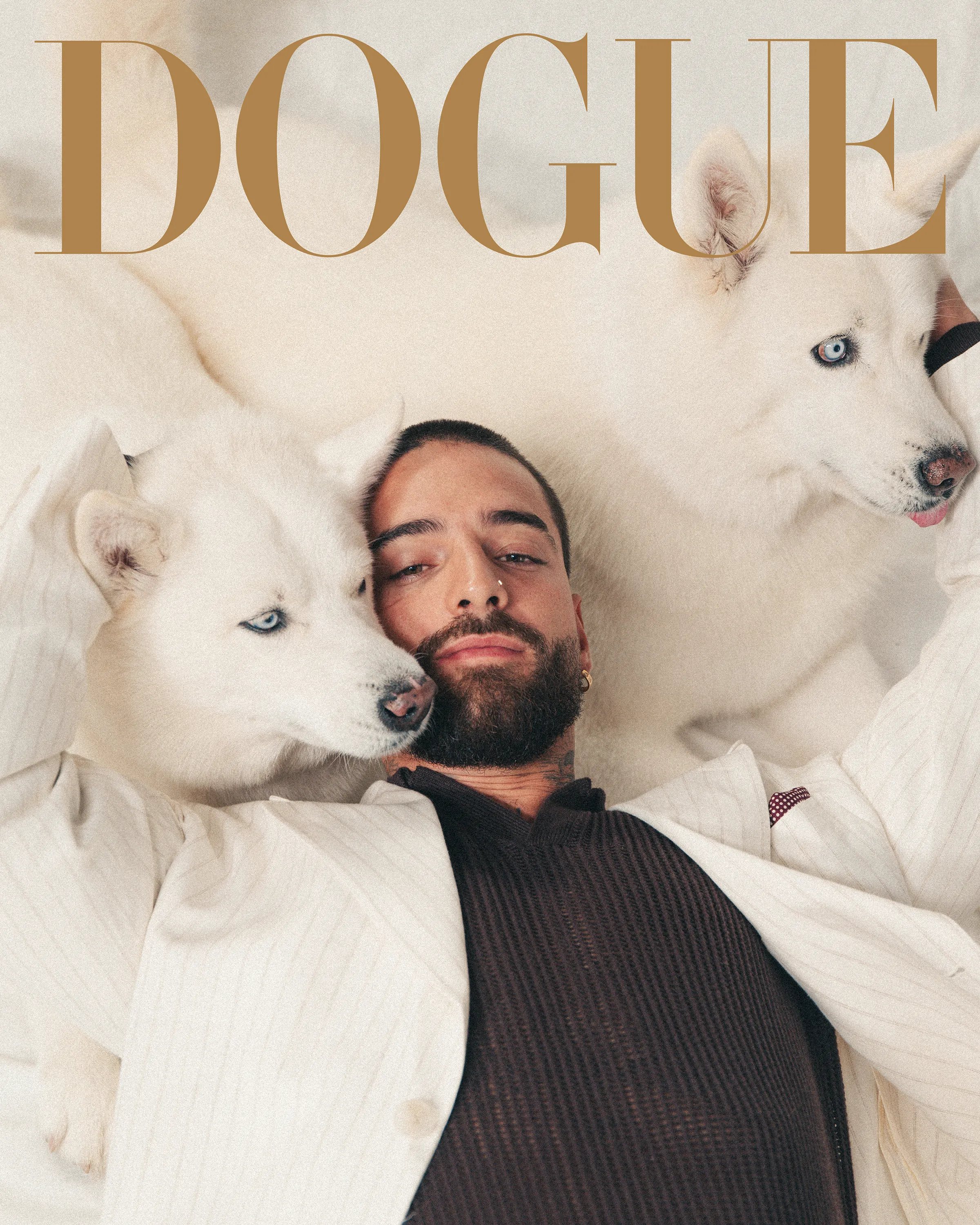 Nesta revista, os protagonistas são os cães dos famosos. Tem de ver as estrelas da “DOGUE Magazine”