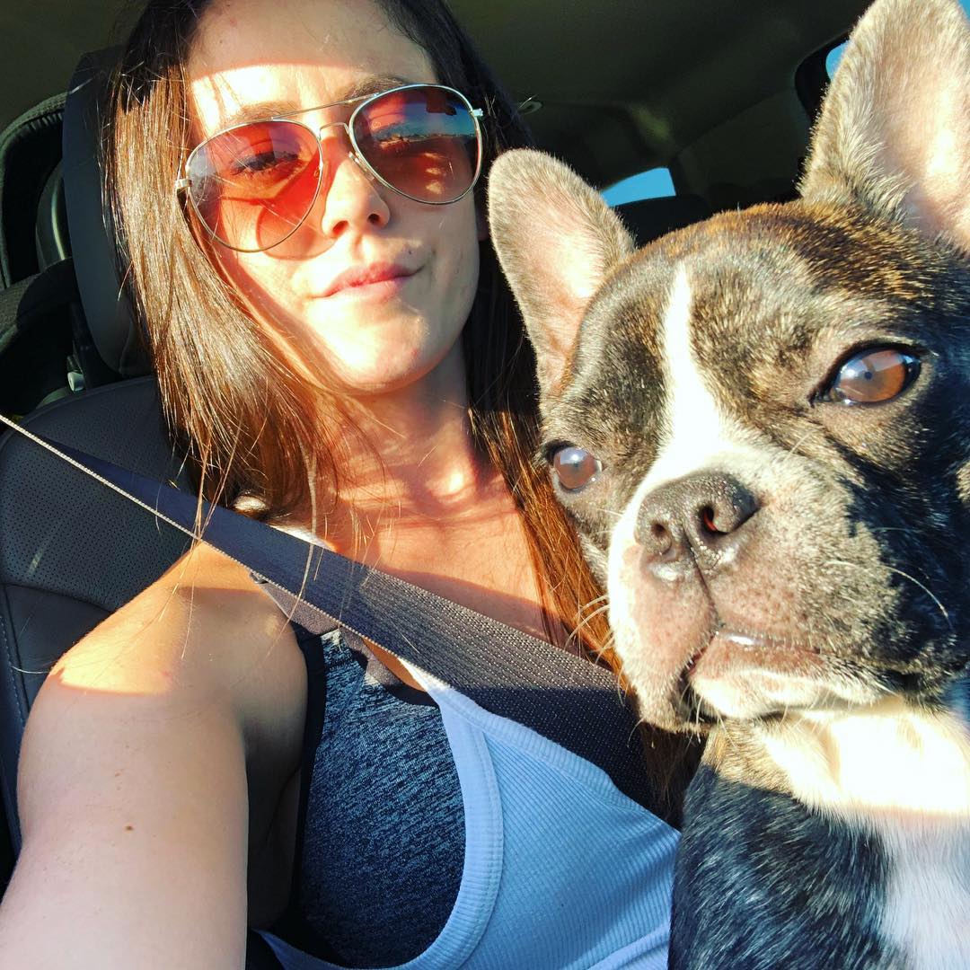 Mata cão da mulher por morder a filha do casal