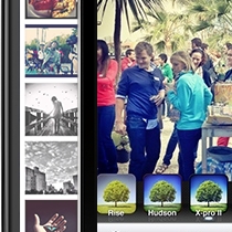 Tendências alimentares para 2019: algas, probióticos, gelados de abacate