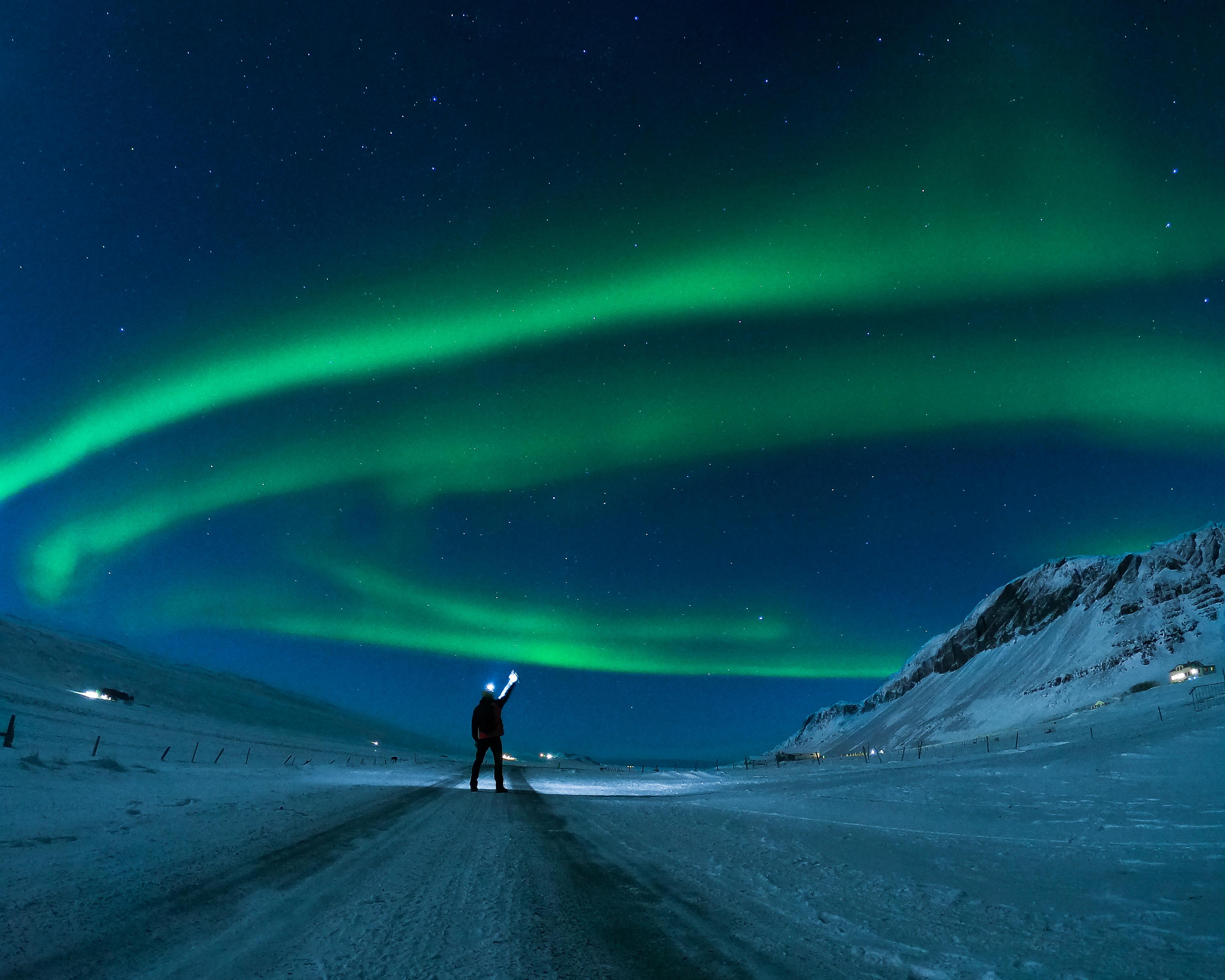 Cão salva menino de seis anos após outro cão tentar atacá-lo. Veja o vídeo emocionante