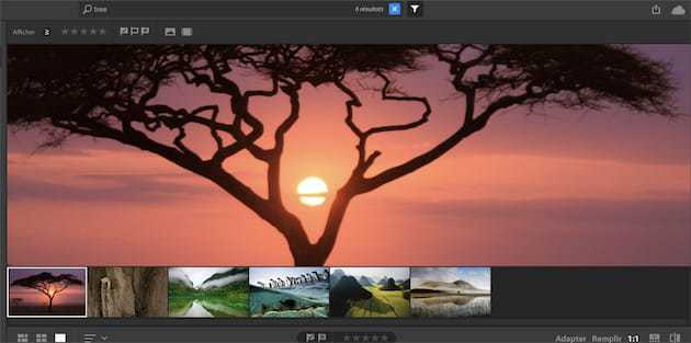 Homem vive debaixo de viaduto no Porto há três anos. Marcelo foi conhecê-lo
