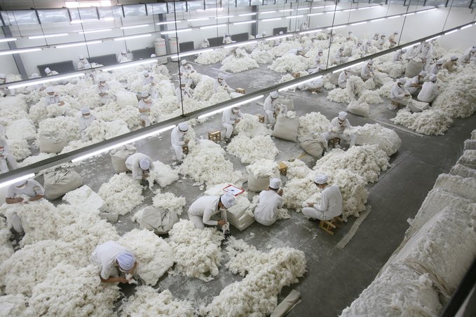 Zara, Adidas e Lacoste. Apelo pede às marcas para deixarem de recorrer a trabalho forçado na China