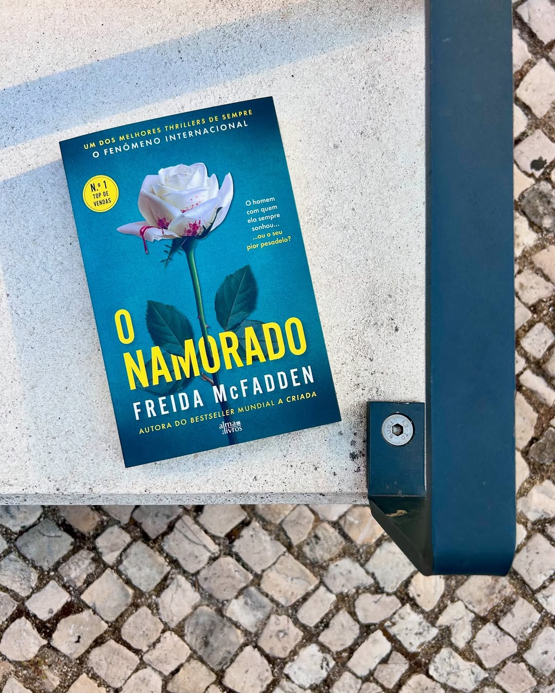 Freida McFadden volta à ação com “O Namorado”. Saiba tudo sobre este thriller psicológico e inquietante
