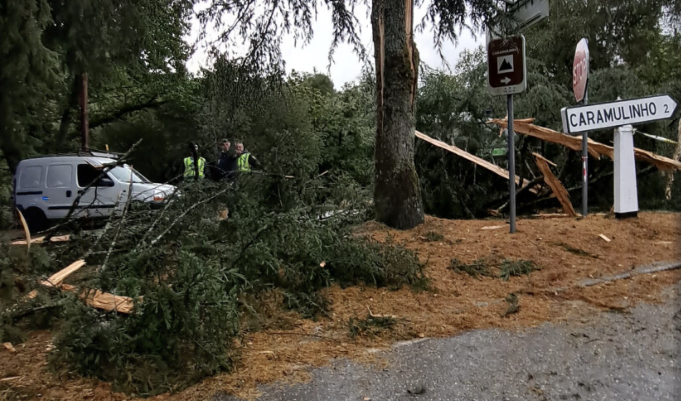 Pai e filho atingidos por um relâmpago em Tondela quando se abrigavam da chuva debaixo de uma árvore