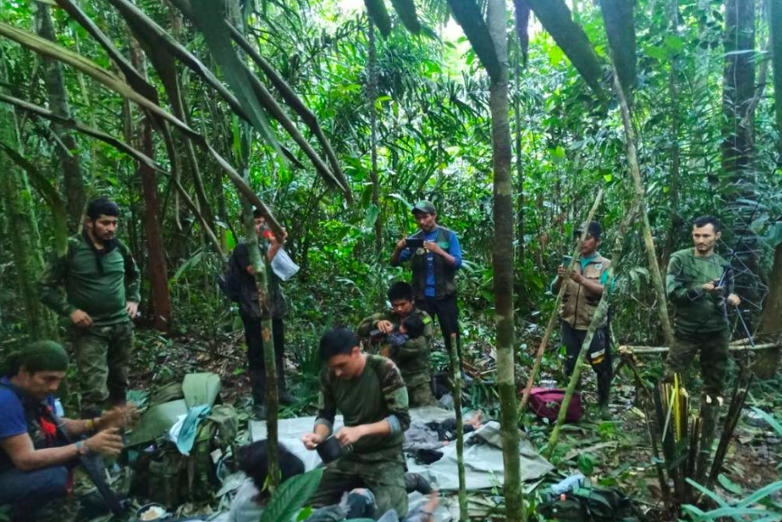 Como é que 4 crianças sobreviveram 40 dias na Amazónia? A resposta pode estar num jogo