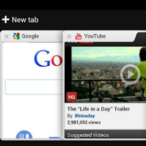 Torres Vedras vai ter a primeira praia onde os cães podem andar livremente