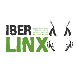 Waste4Coffee. Se apanhar lixo da praia, recebe em troca um café