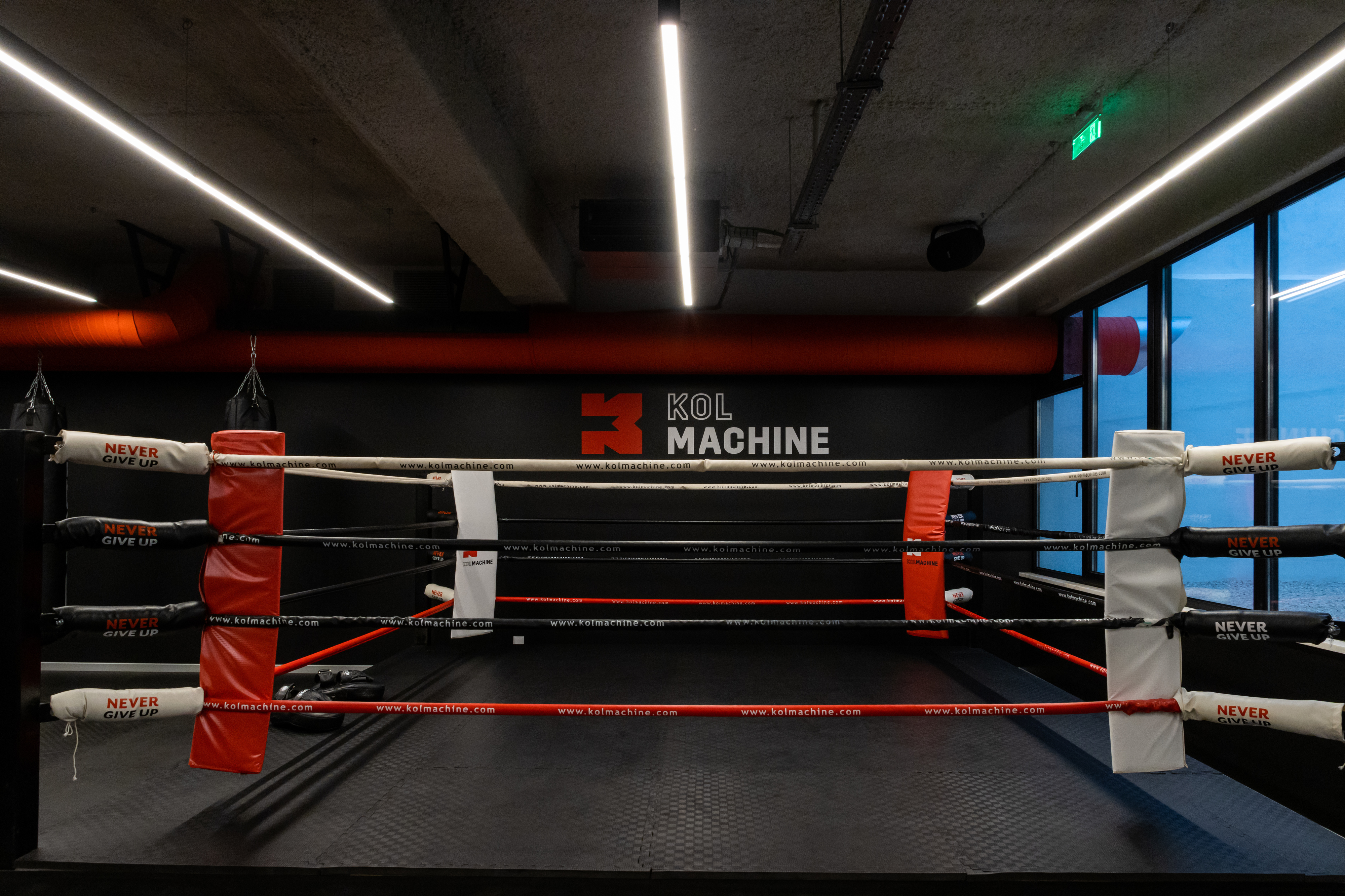 Aventure-se pelas modalidades de combate e dê socos e pontapés à borla. Saiba como