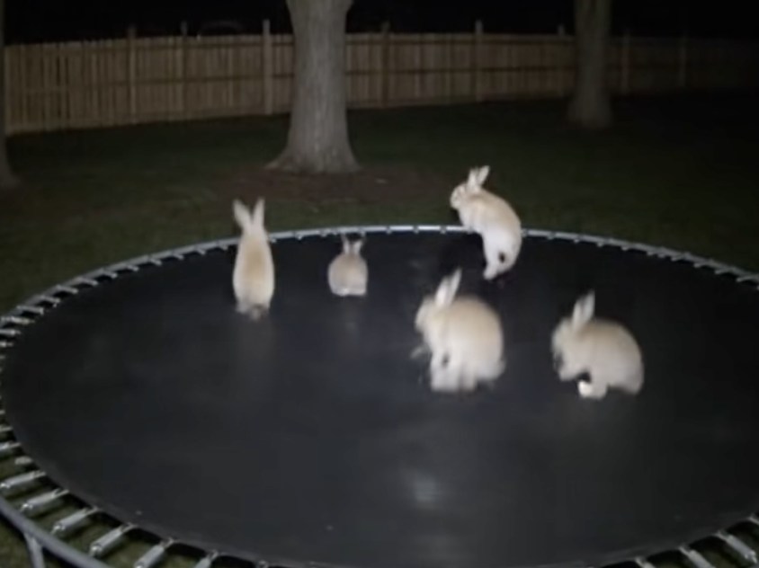 Enclosure